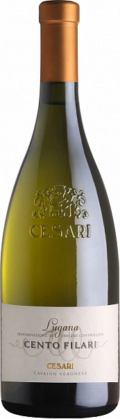 Gerardo Cesari Cento Filari