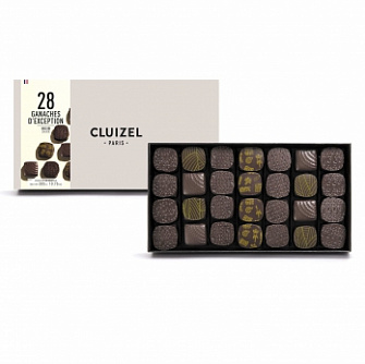 Michel Cluizel Dark And Milk Chocolate №28